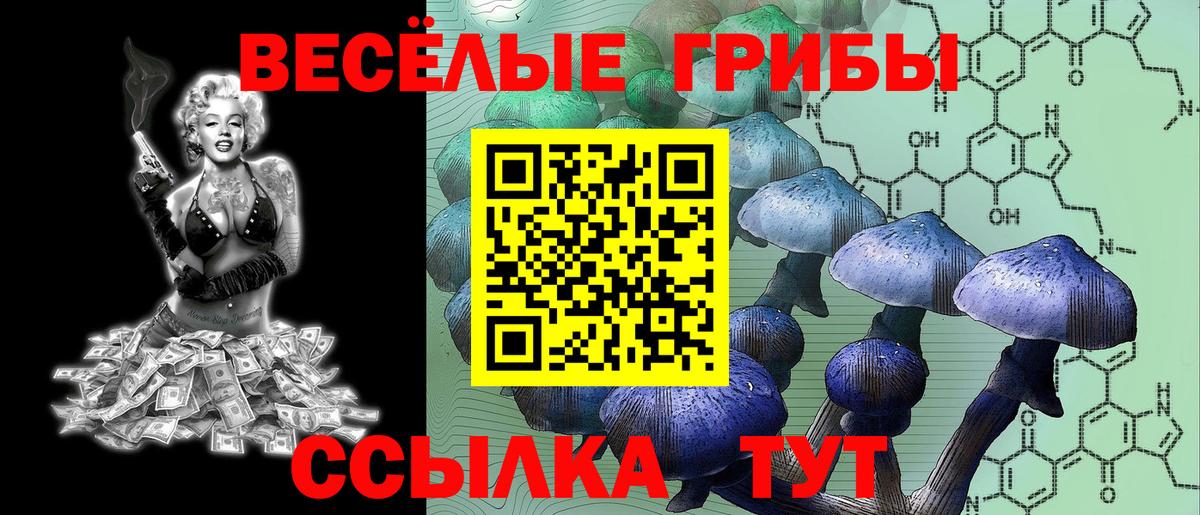 где купить   Псилоцибиновые грибы ЛСД  Мытищи  Вход с VPN  Псилоцибиновые грибы GOLDEN TEACHER 
